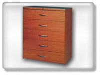 Click to view 5 drawer bulk filer
